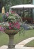 DSC00770